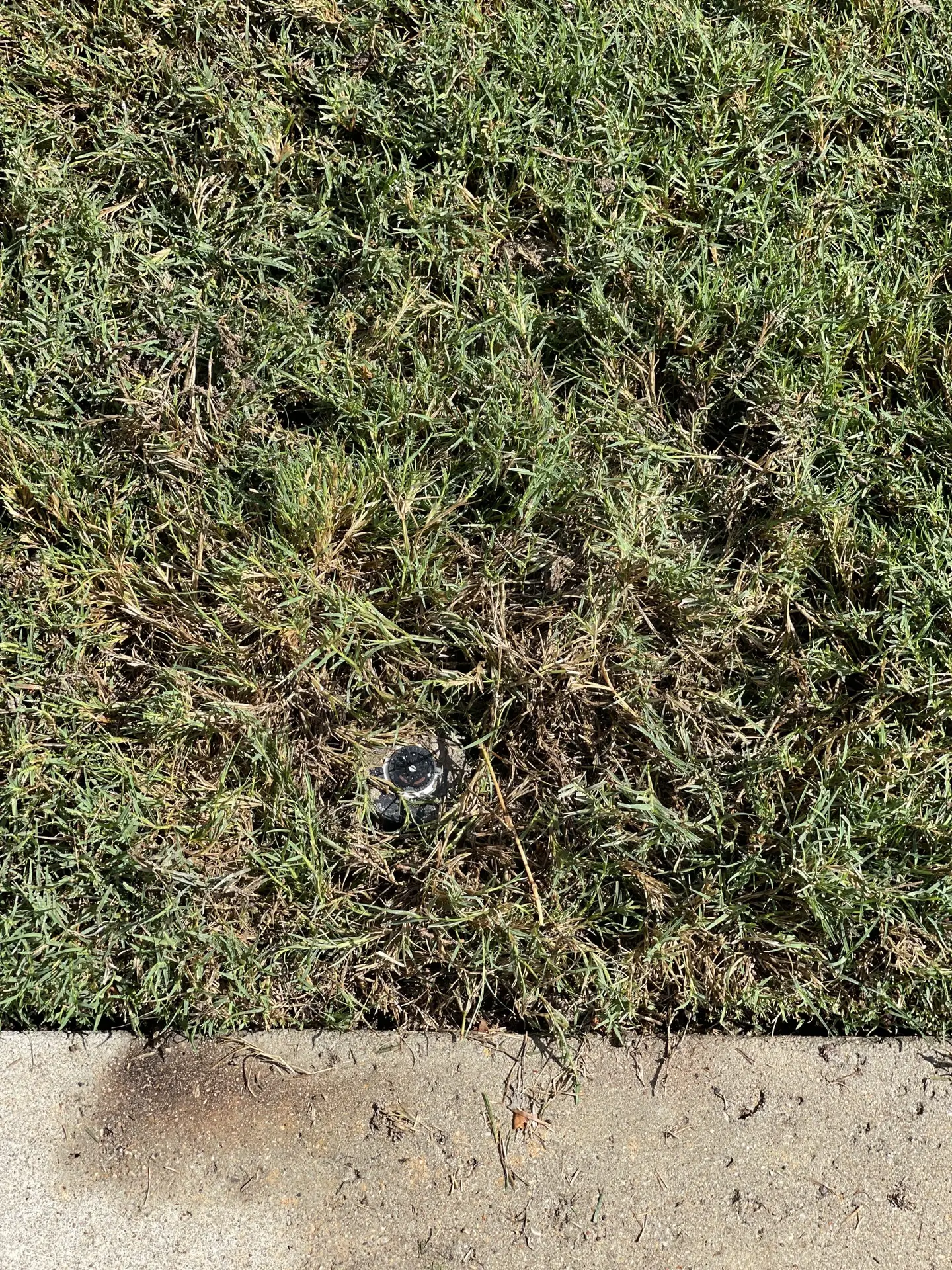 sprinkler repair in Coppell