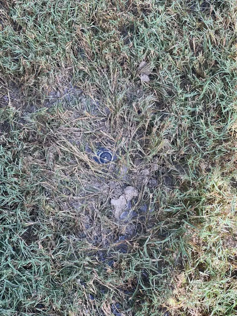 Coppell sprinkler repair