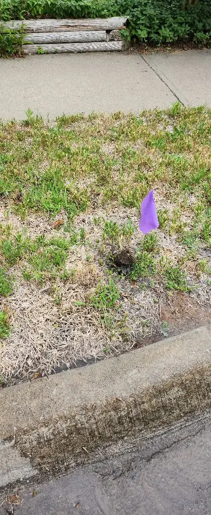 Colleyville Irrigation repair