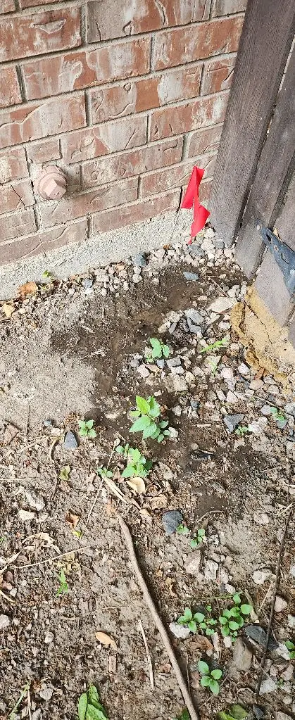 Clear Lake Irrigation repair