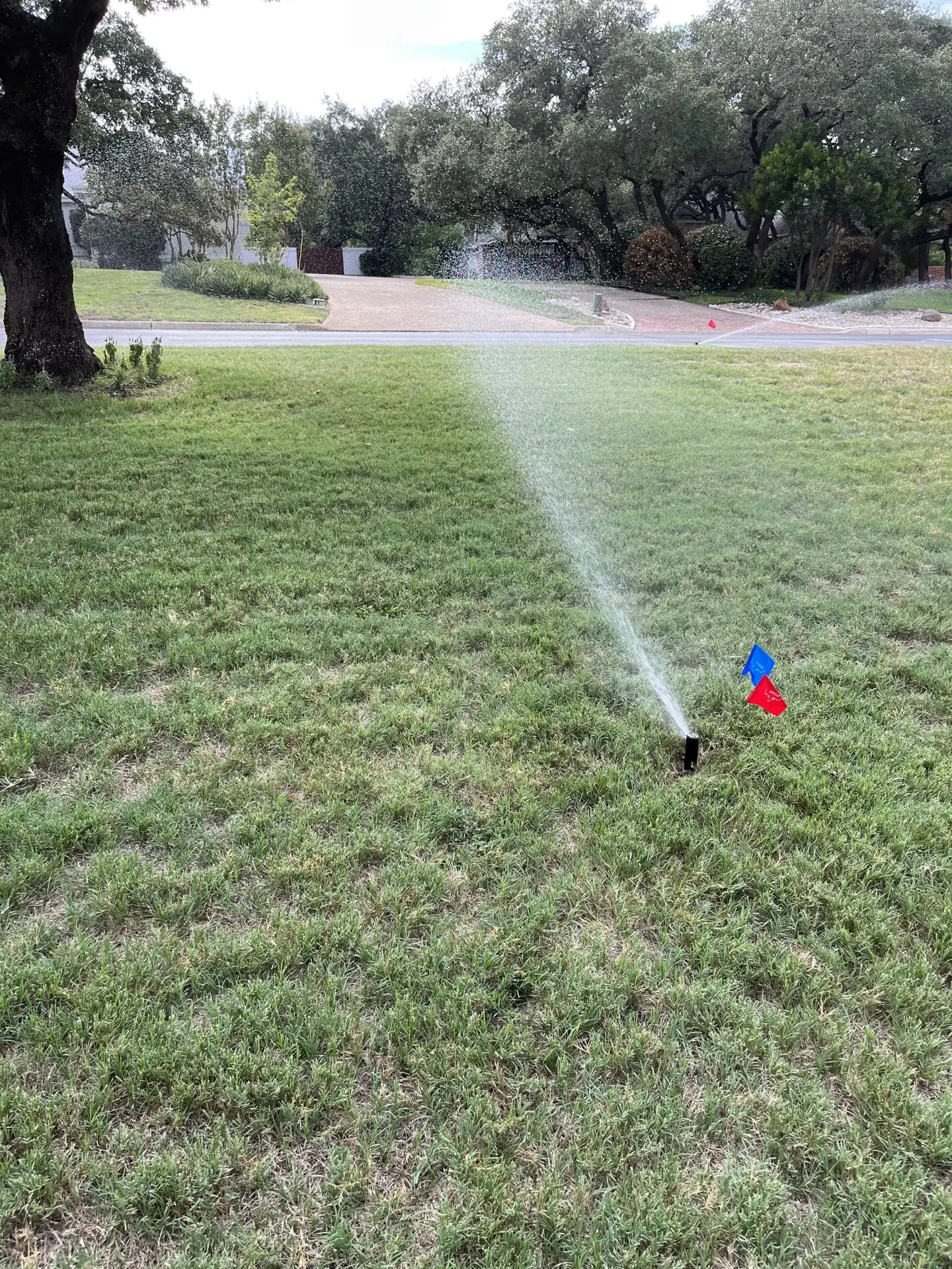 sprinkler repair in Elgin