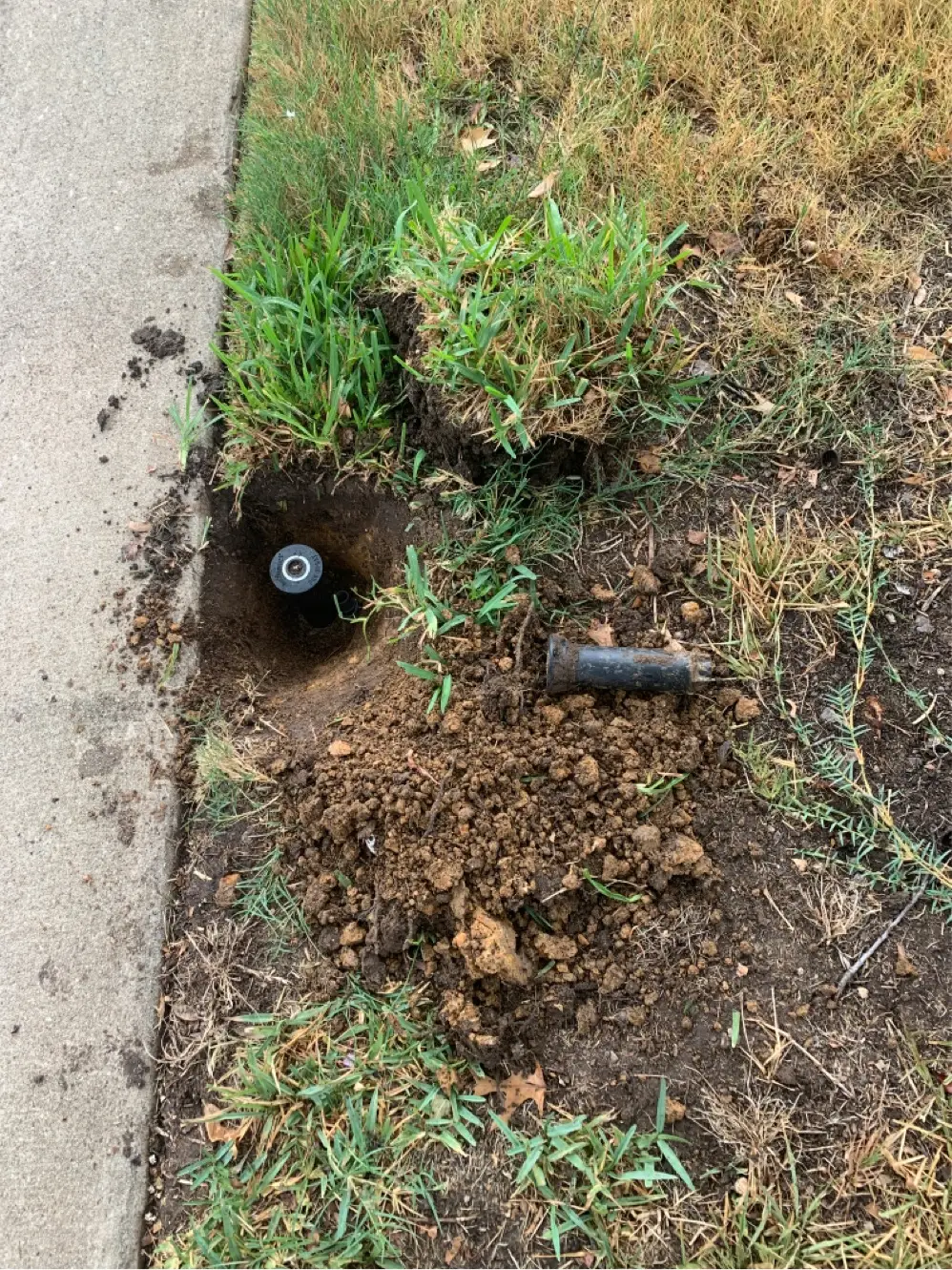 sprinkler repair in Forest Hill