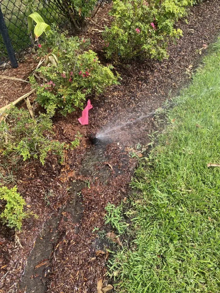 sprinkler head replaced