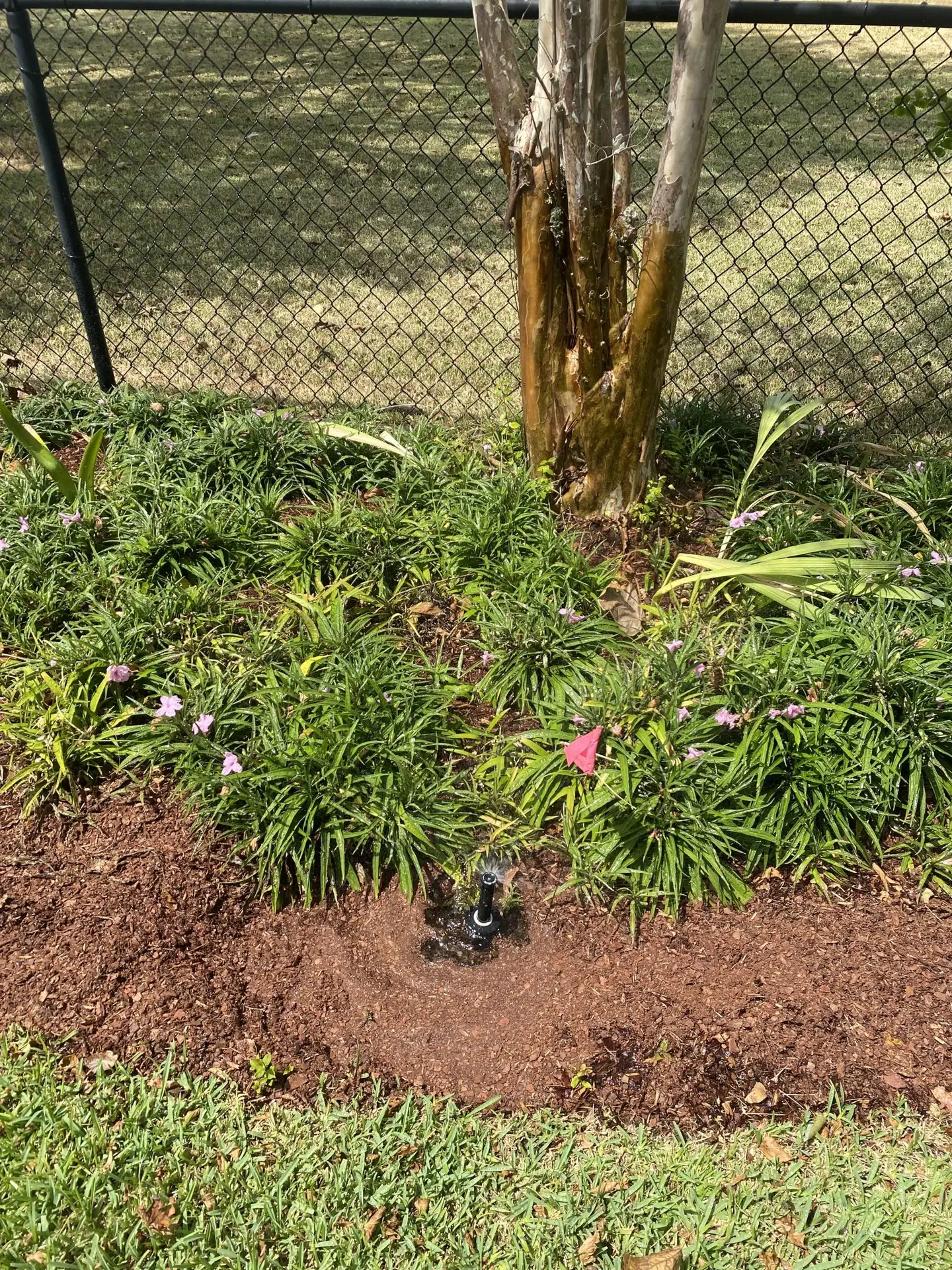 irrigation repair in Haltom City