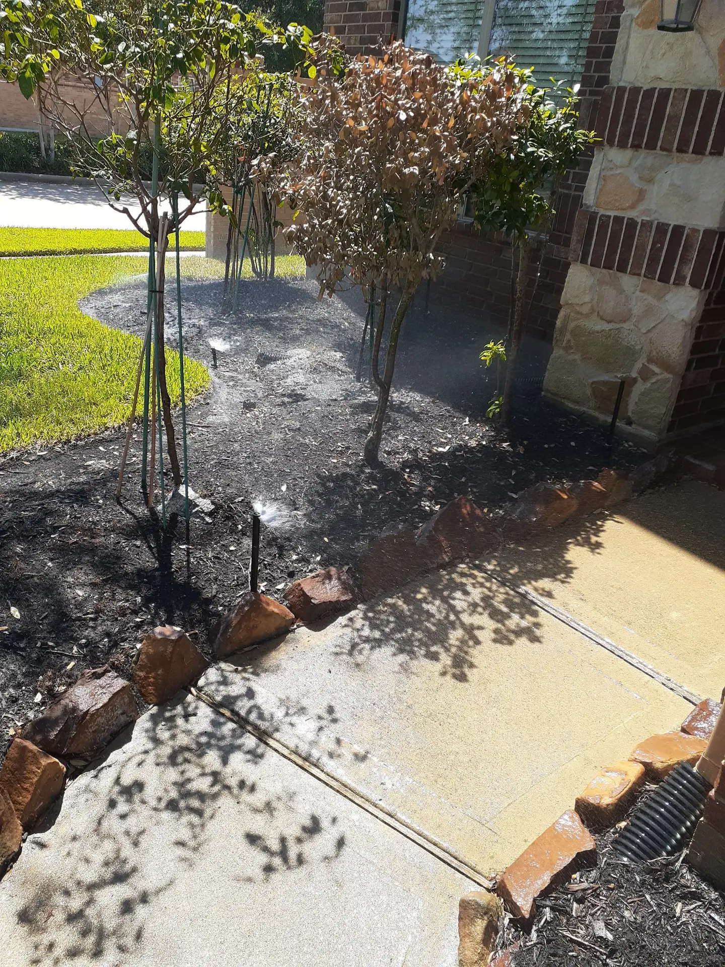 sprinkler repair in Justin