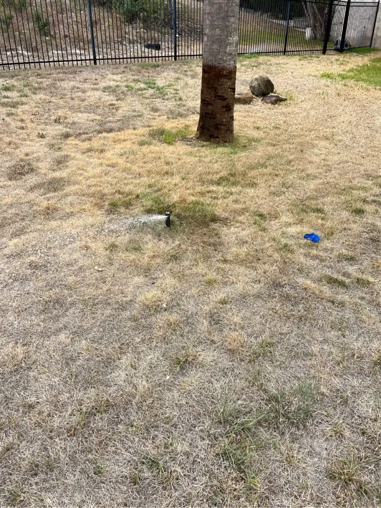 Lantana sprinkler repair