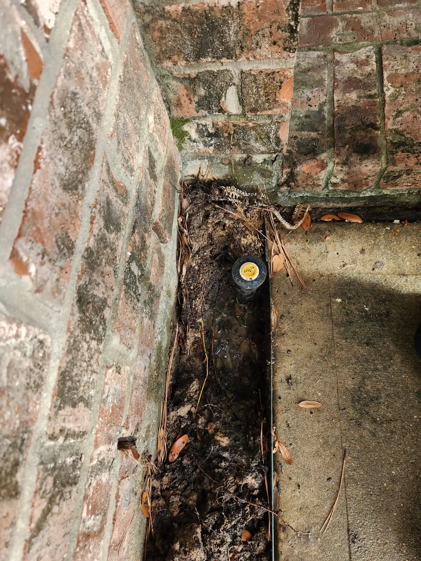 Liberty Hill Irrigation repair