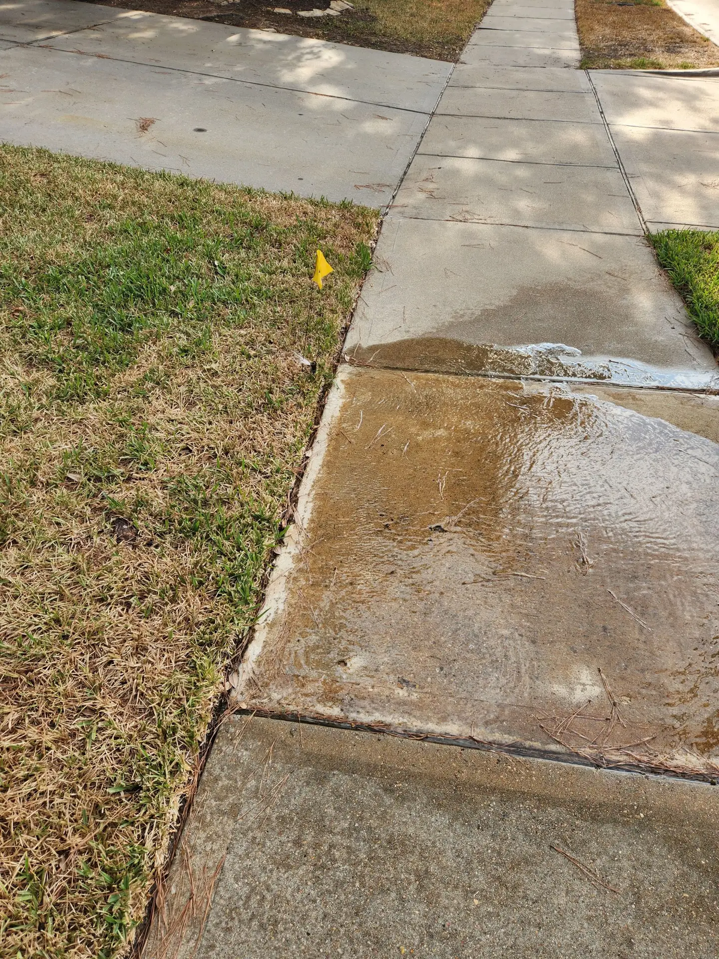 Live Oak Irrigation repair