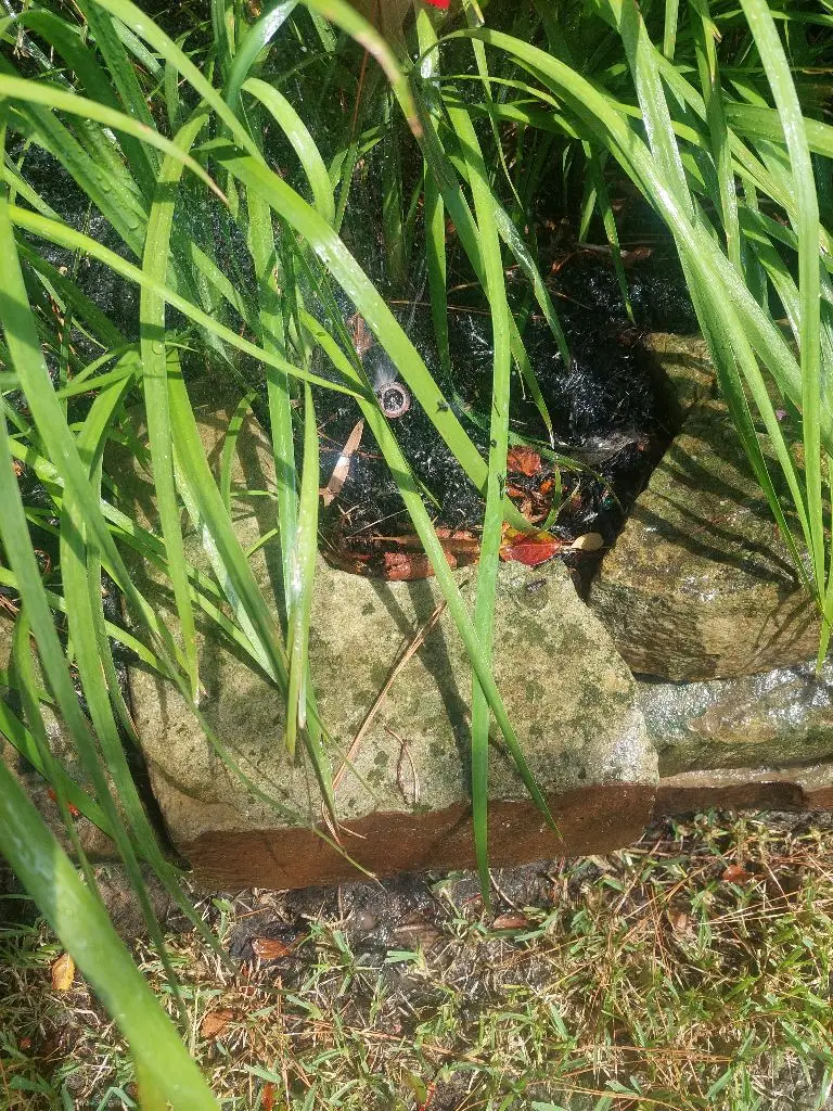 Marion Irrigation repair