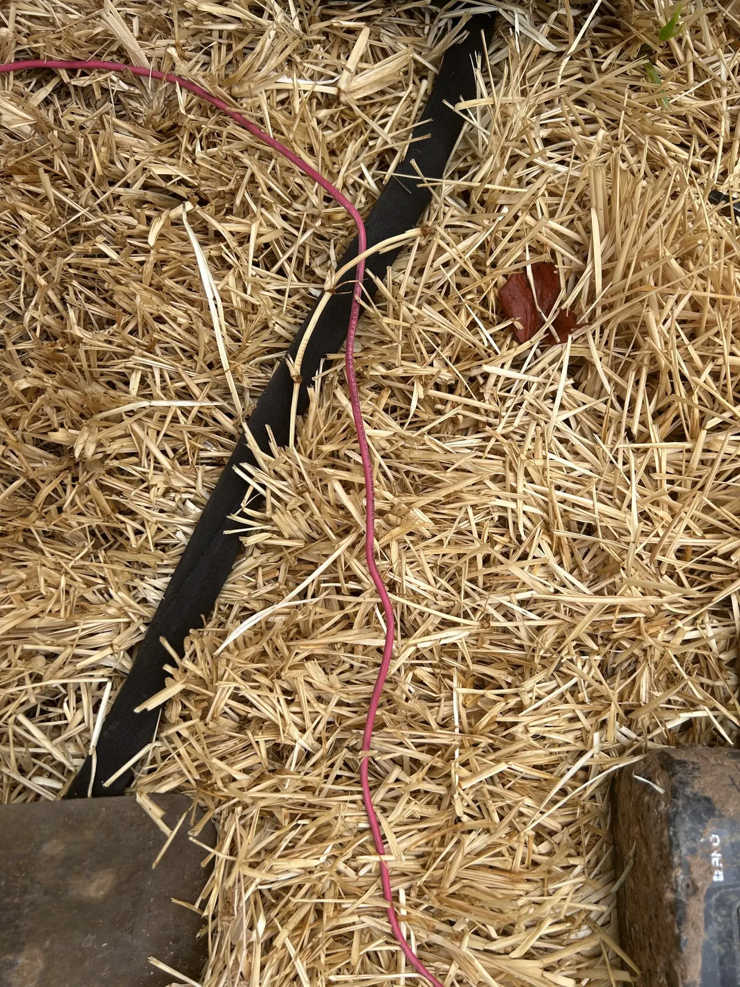 Meadows Place Irrigation repair