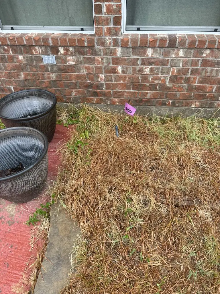 Murphy sprinkler repair