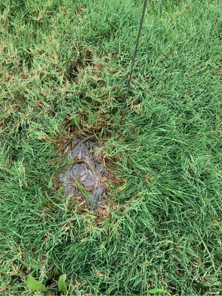 sprinkler repair in Nassau Bay