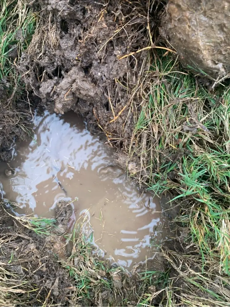 New Caney sprinkler repair