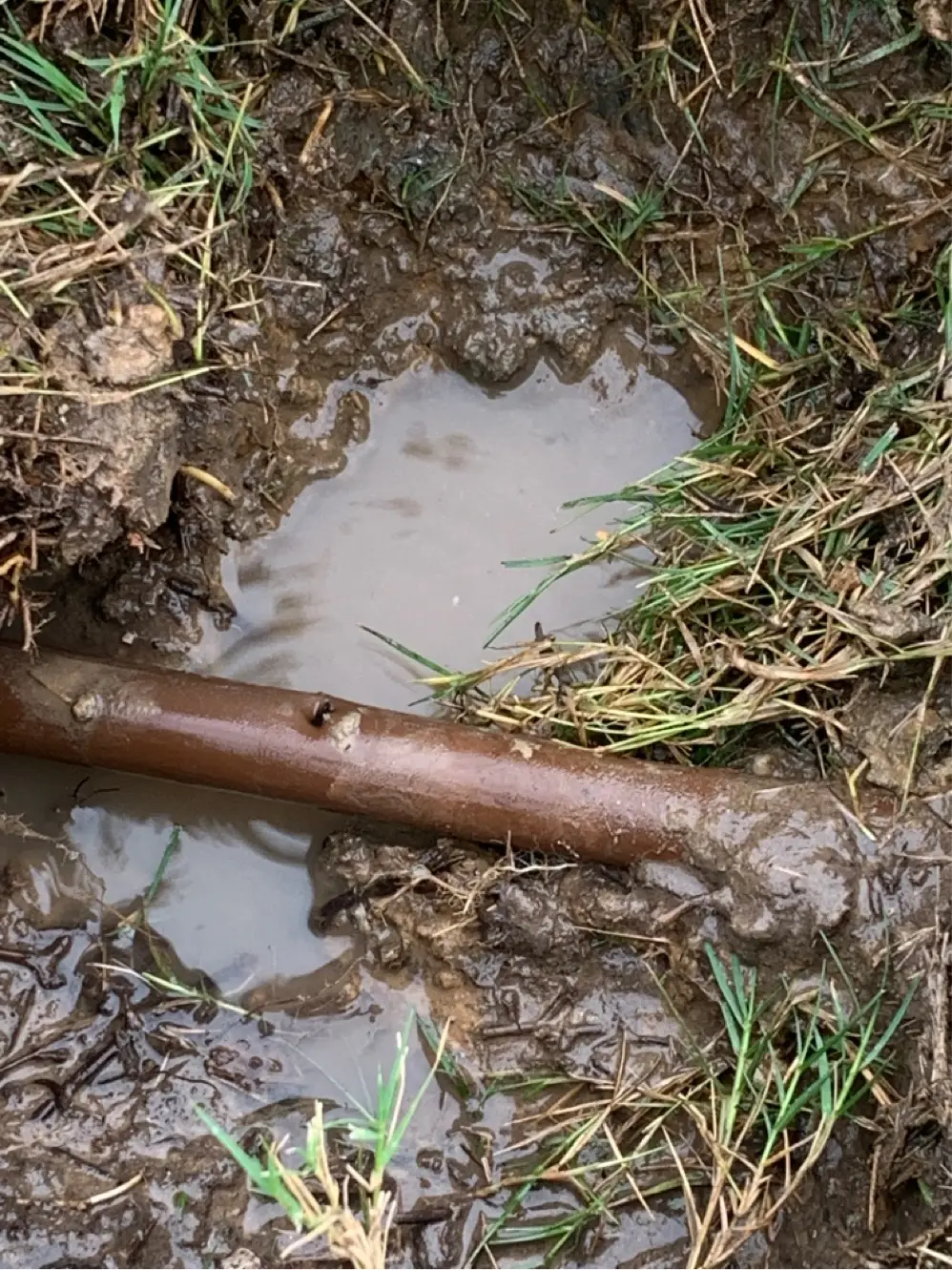 New Caney Irrigation repair