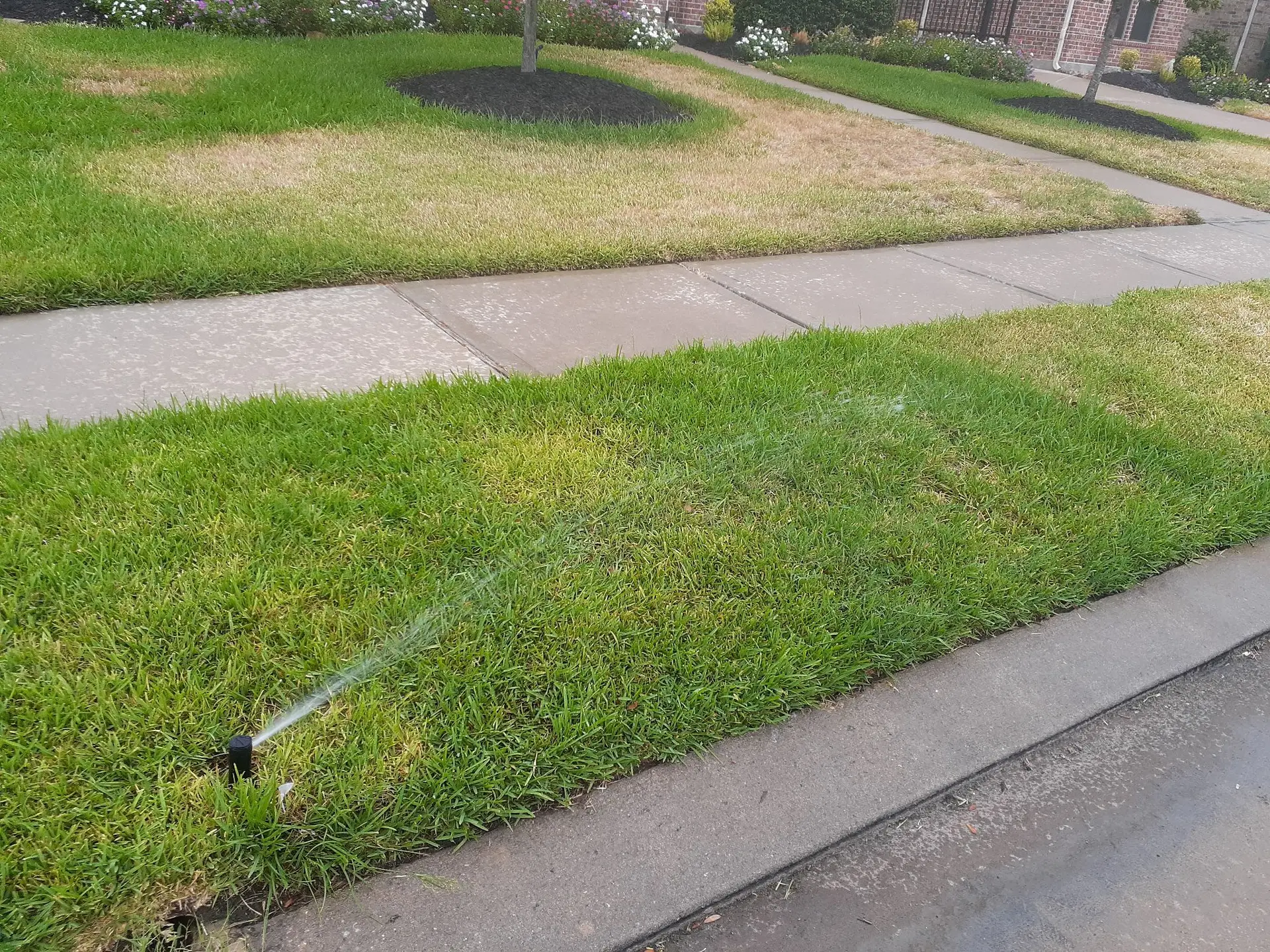 Olmos Park irrigation repair