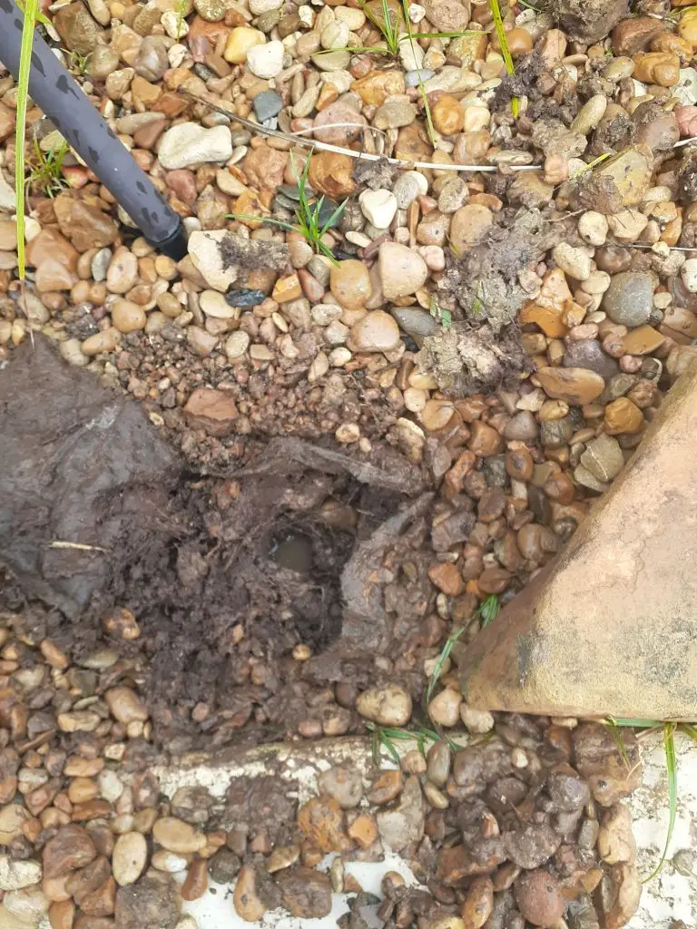 Pasadena sprinkler repair