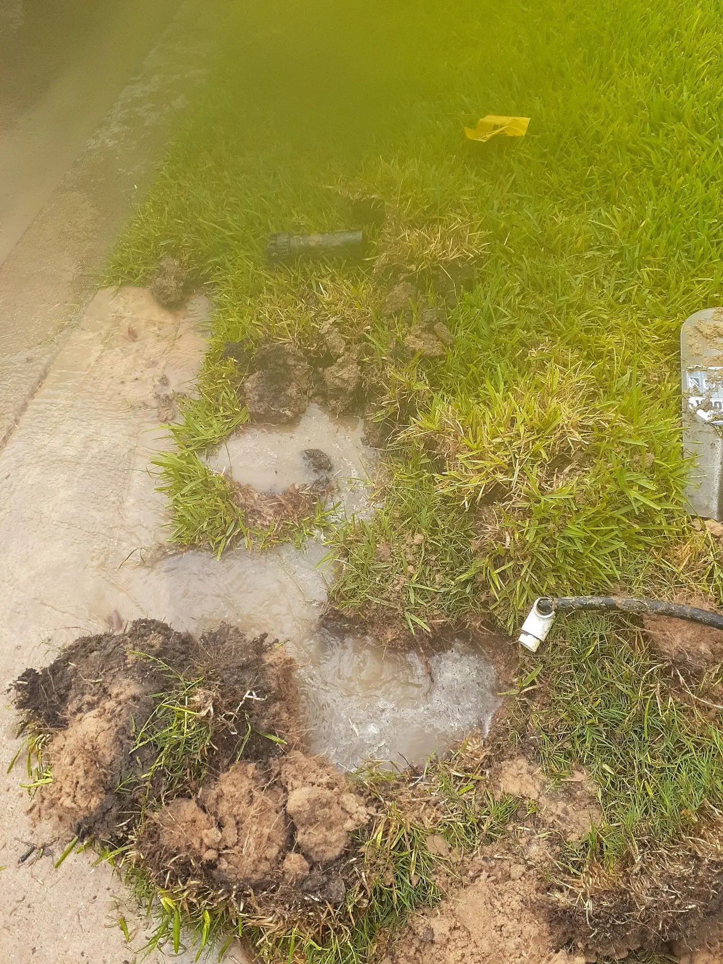 Pasadena irrigation repair