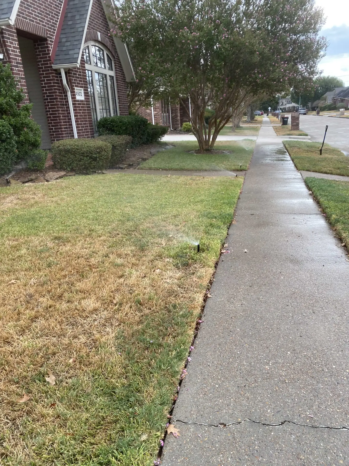 Pilot Point irrigation repair