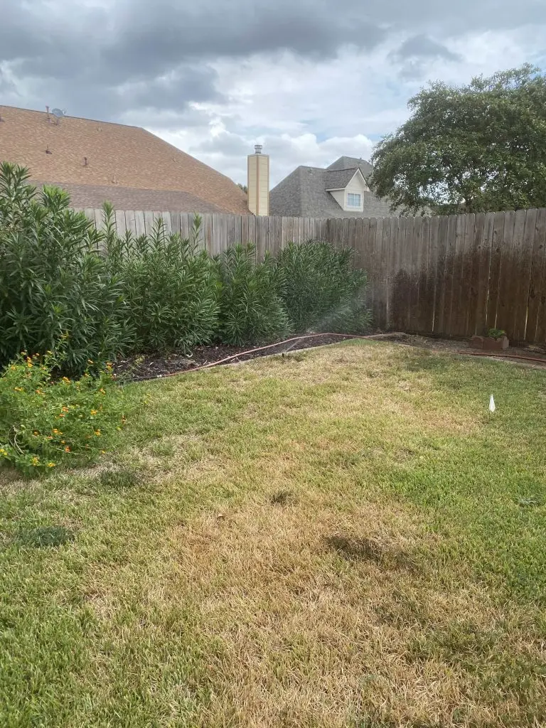 Plano sprinkler repair