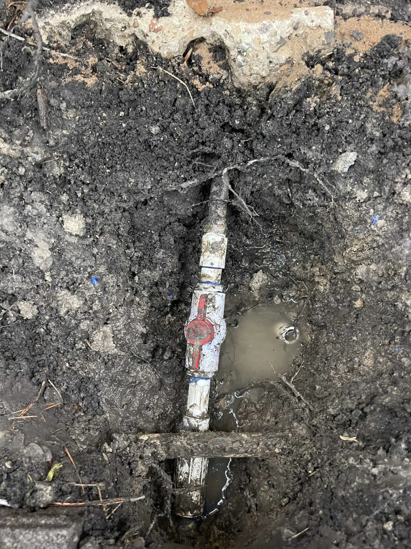 Sachse Irrigation repair