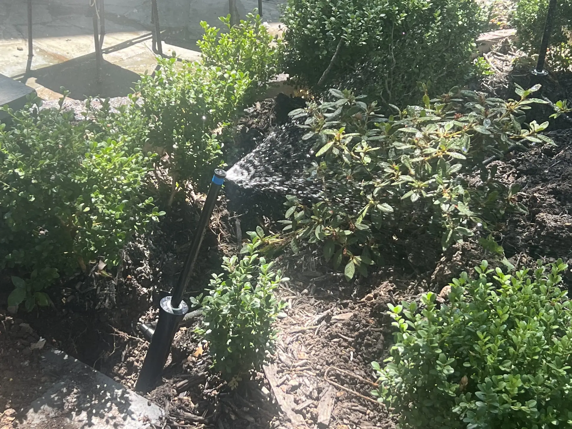 Texas City TX sprinkler repair