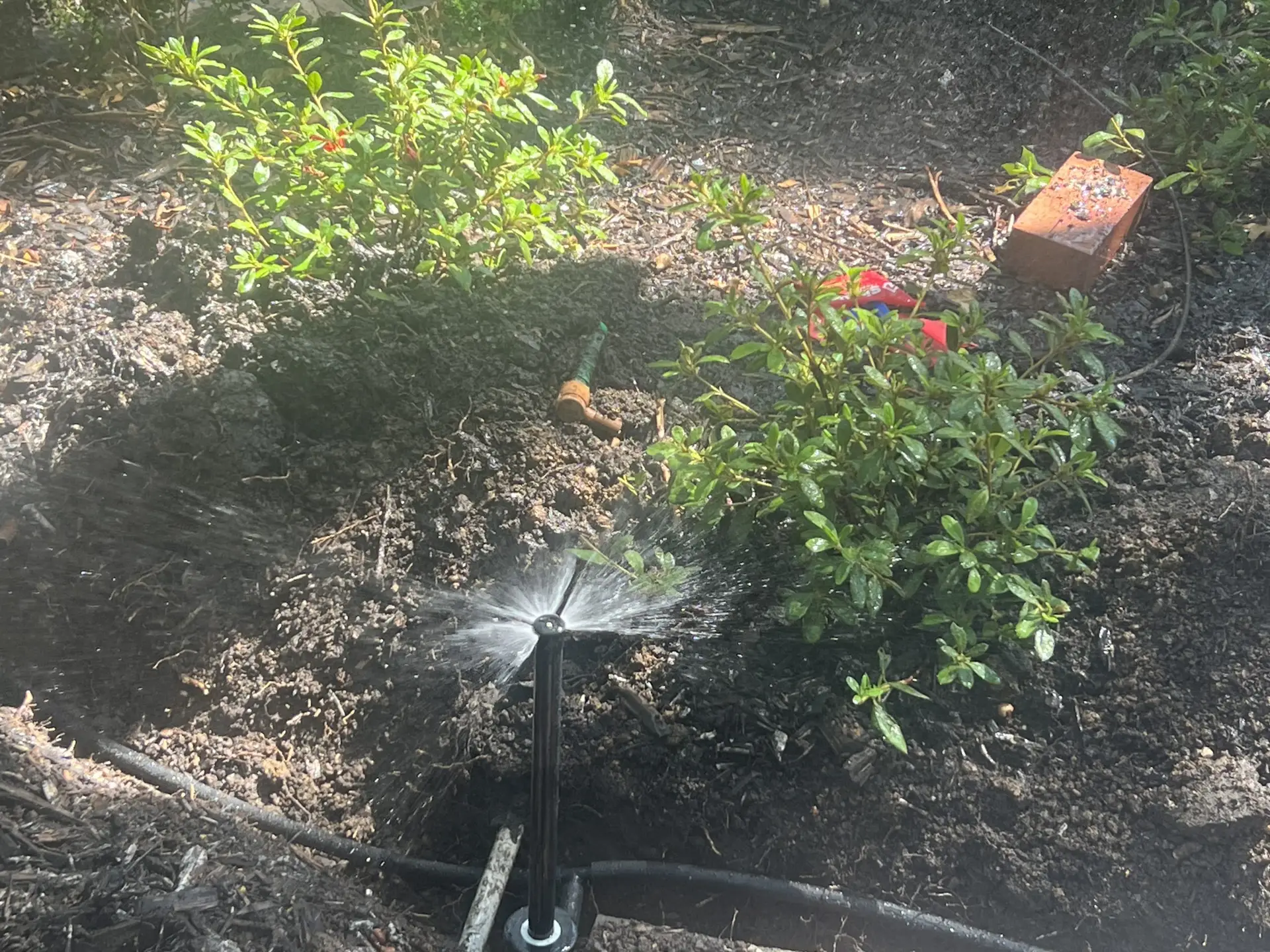 sprinkler head replacement