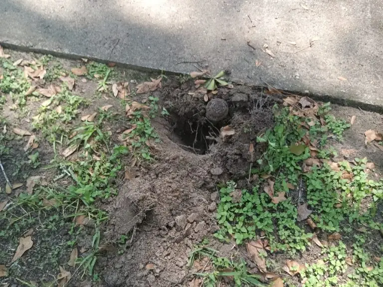 sprinkler repair in Waller