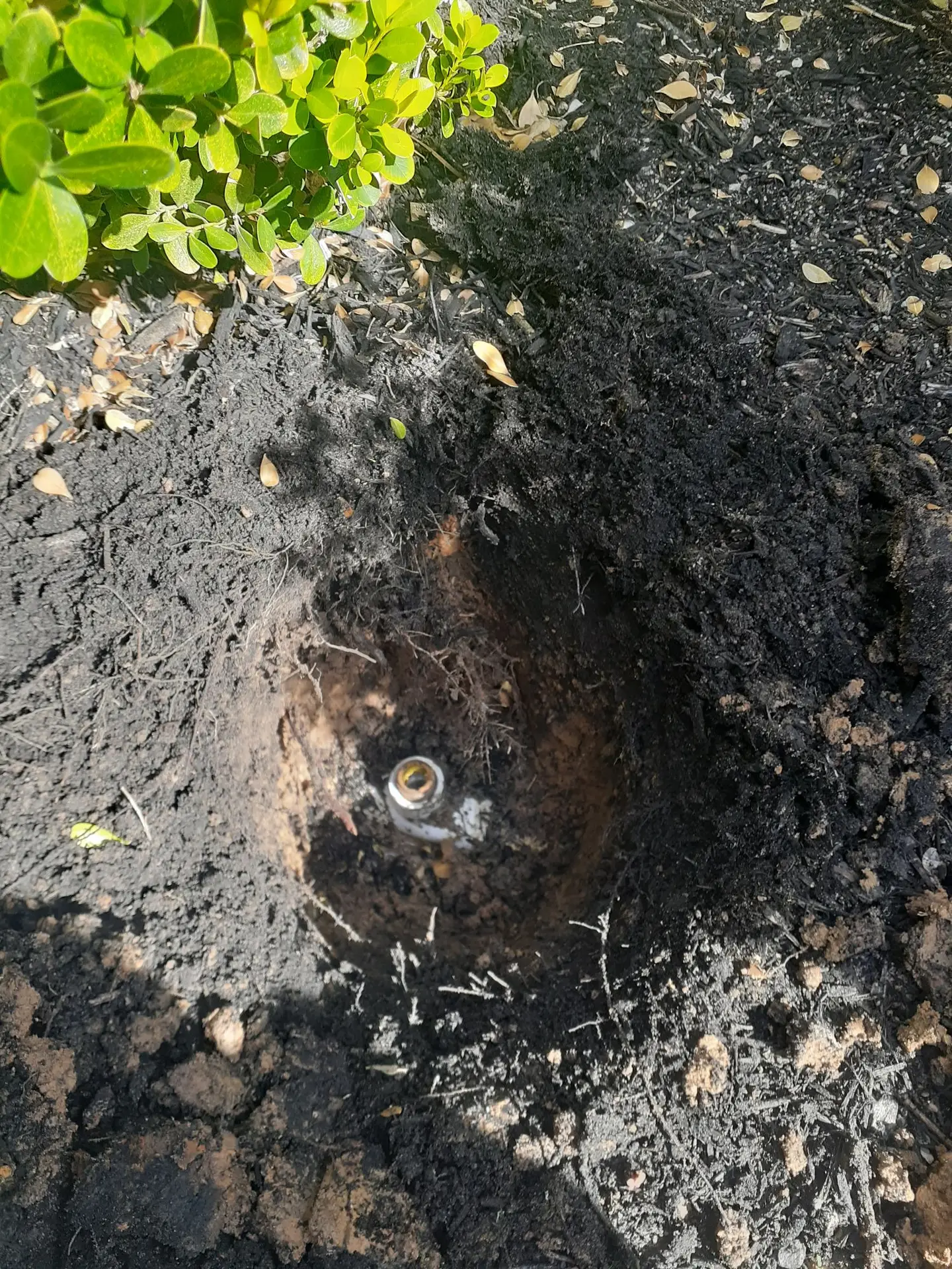 sprinkler head broke with threads stuck in pvc fitting