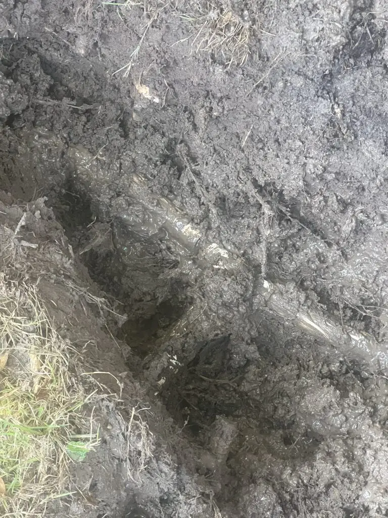 Bedford sprinkler repair