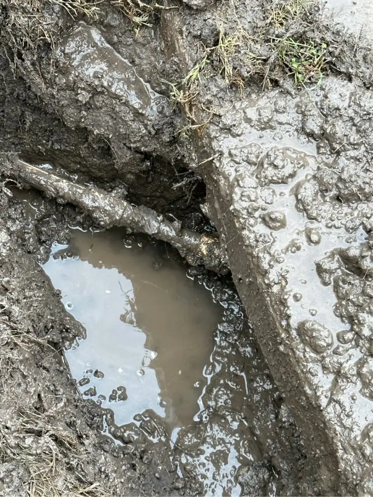 Castle Hills sprinkler repair