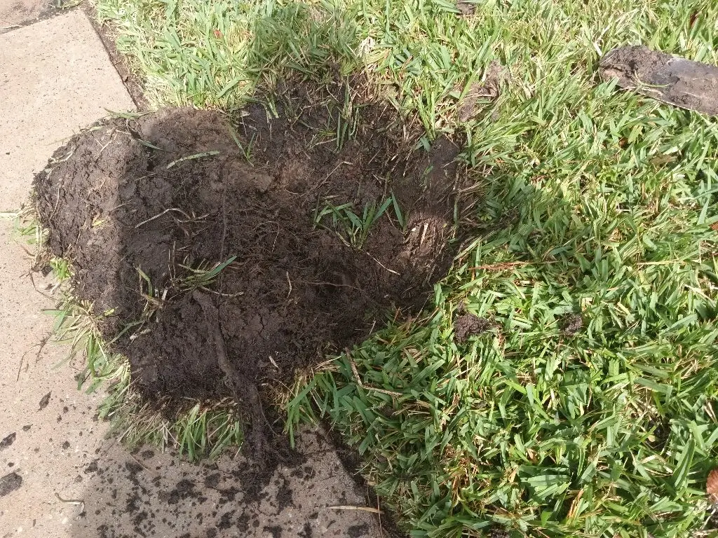 Cedar Park sprinkler repair