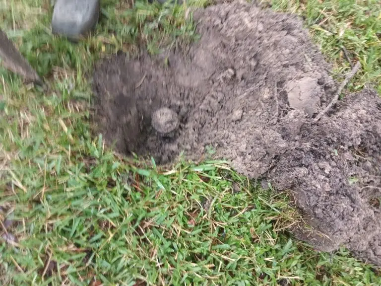 Cibolo sprinkler repair