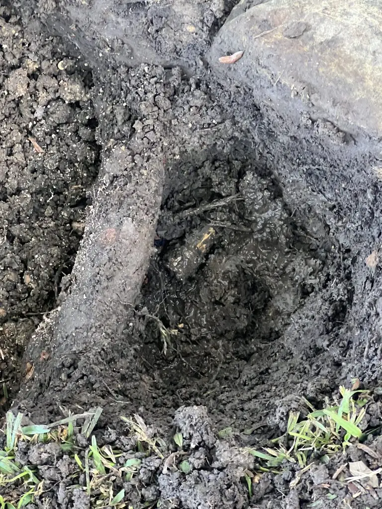 Boerne sprinkler repair