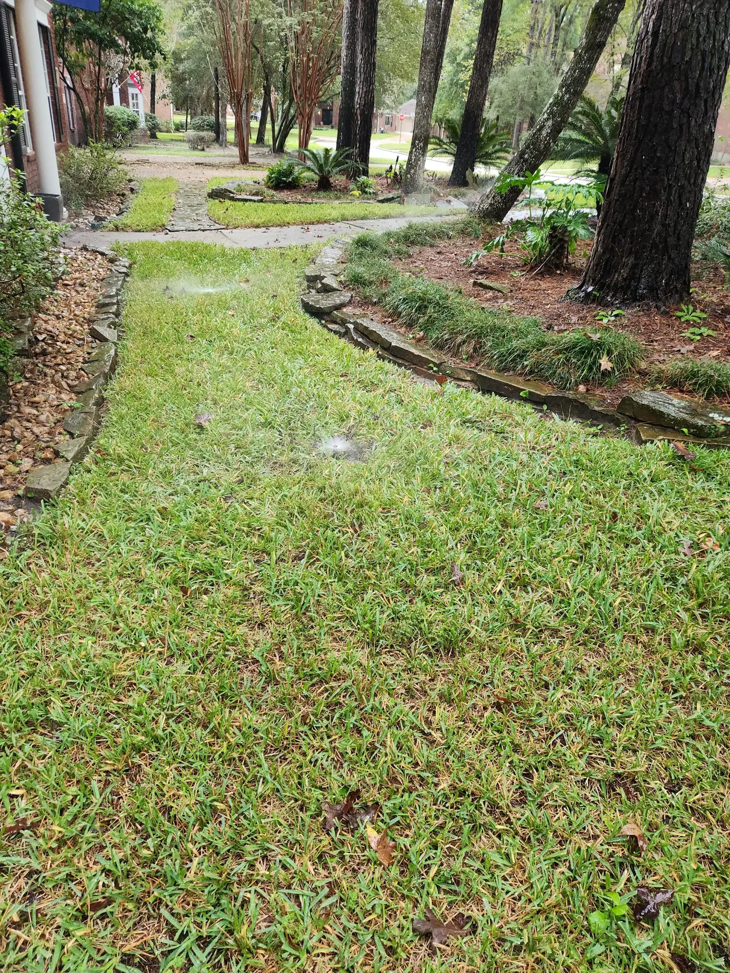 sprinkler system diagnostic