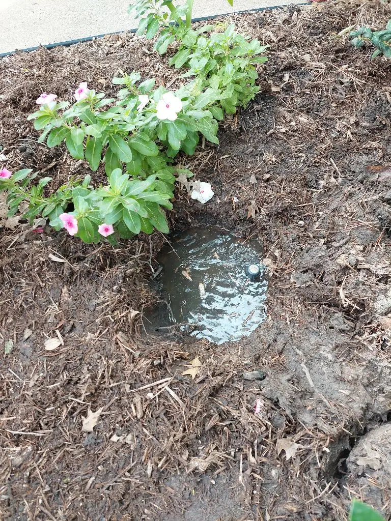 Anna sprinkler repair
