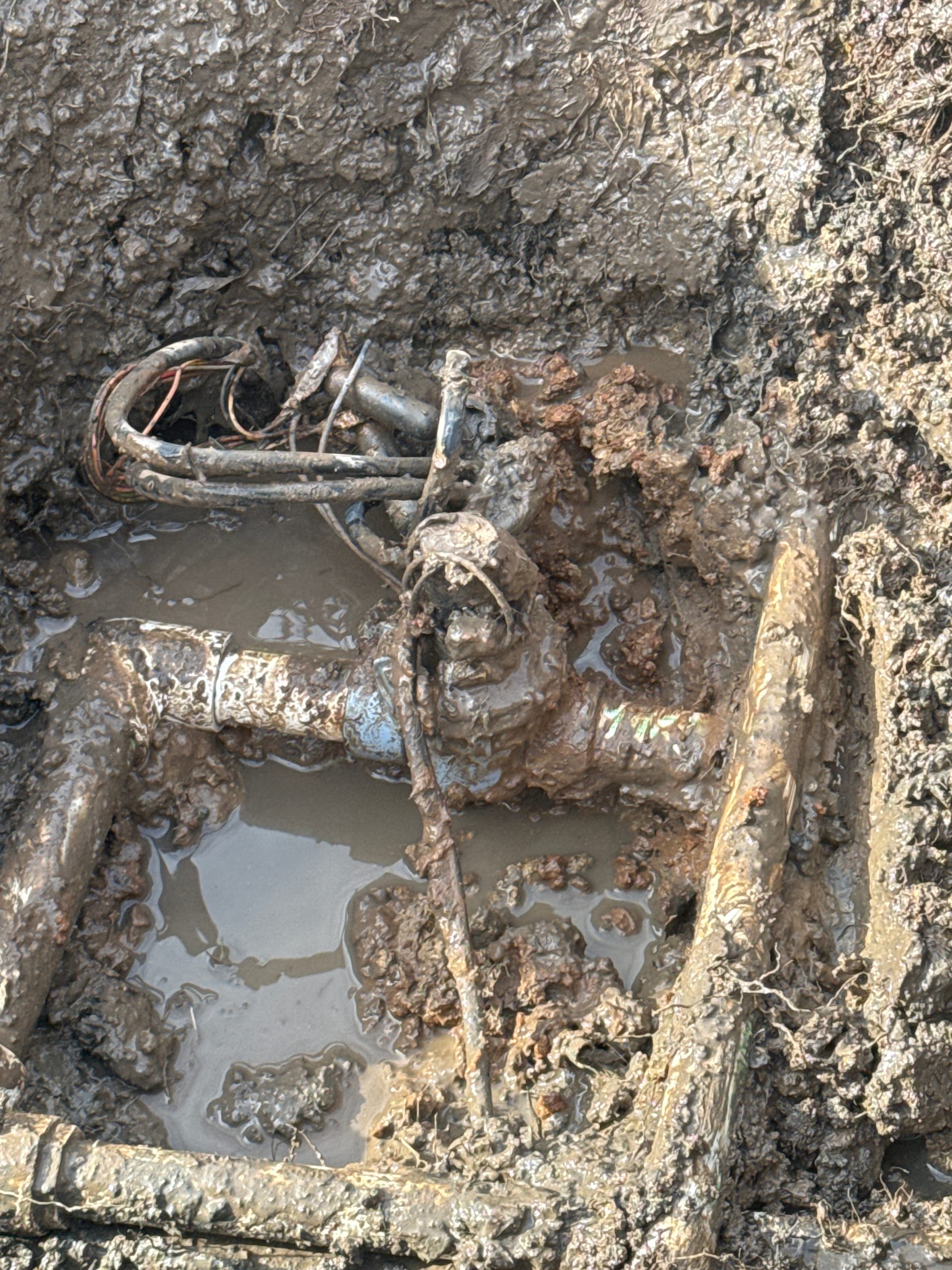 Before Lawn Sprinklers