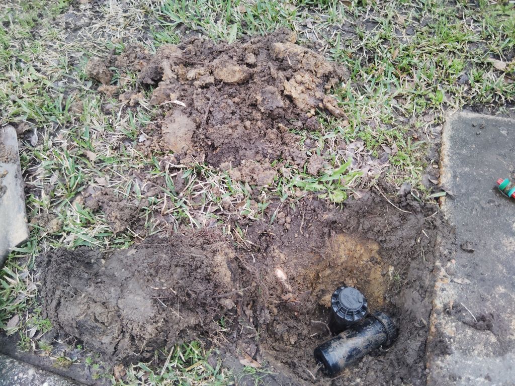 Before Rainbird Spray Heads - Replacement
