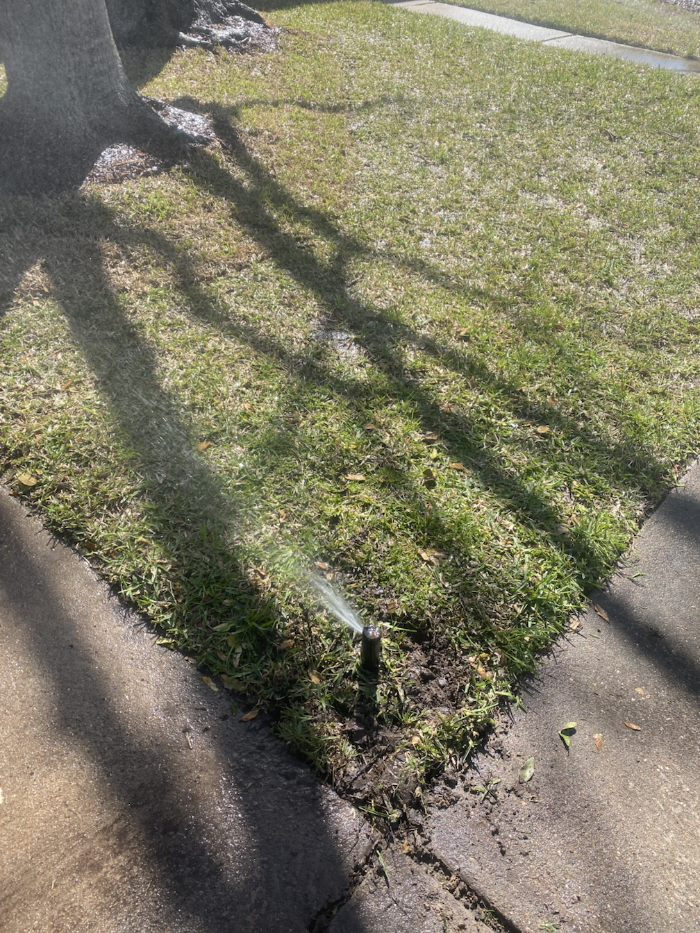 After Rainbird Spray Heads - Replacement