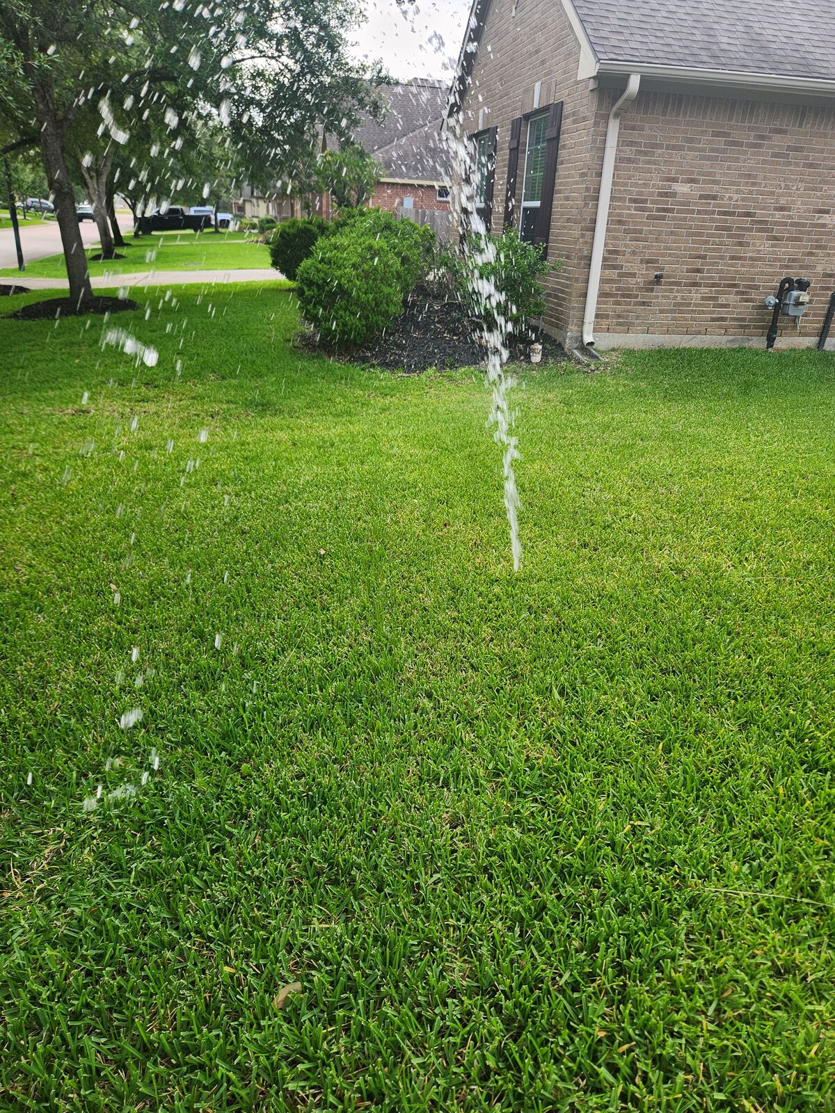 Before Service - Diagnostic