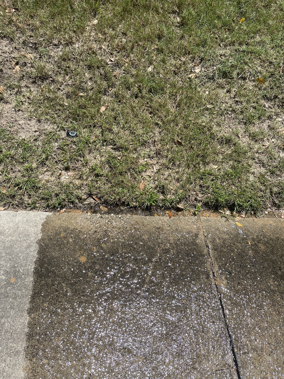 After Sprinkler Heads