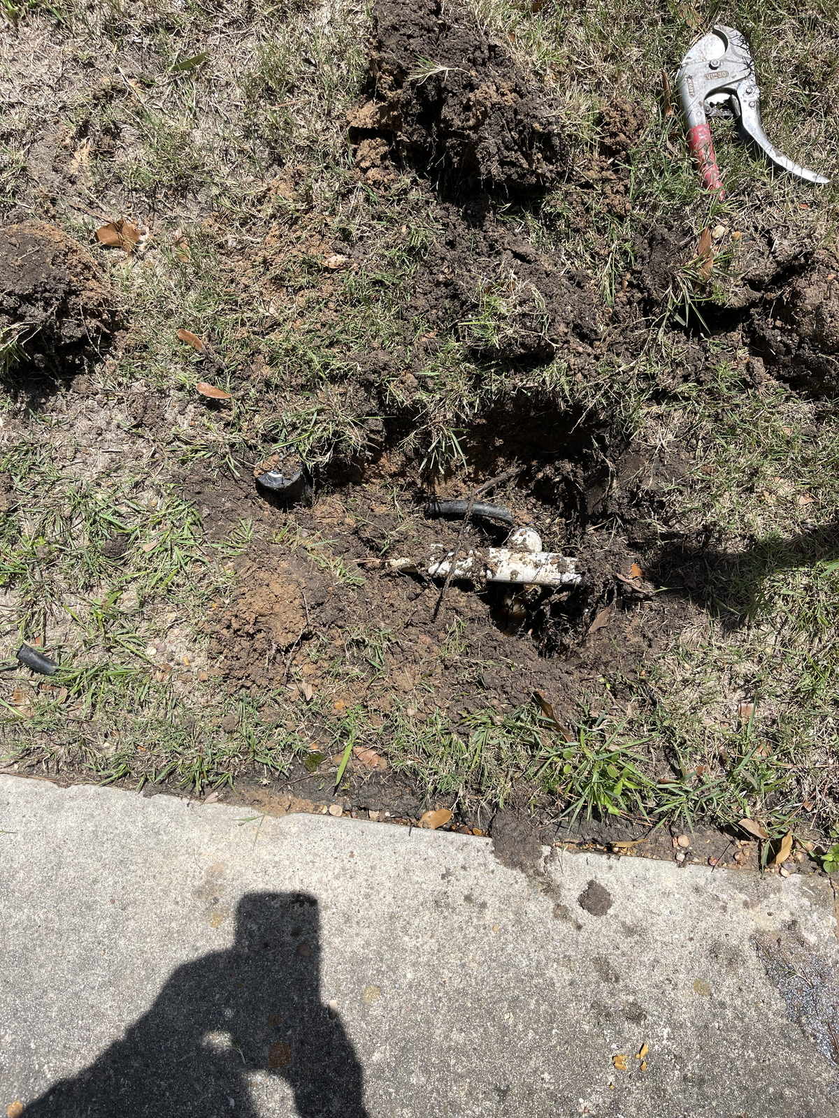 Before Sprinkler Heads