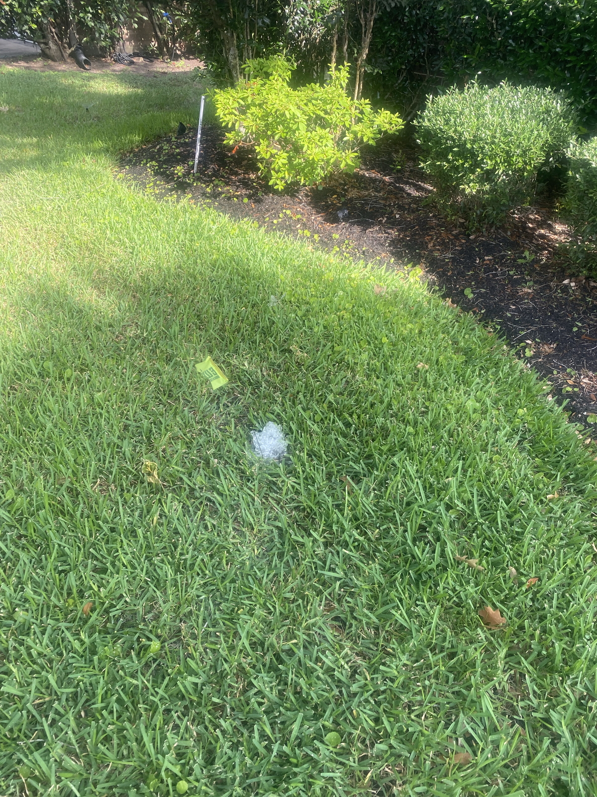 Before Lawn Watering System