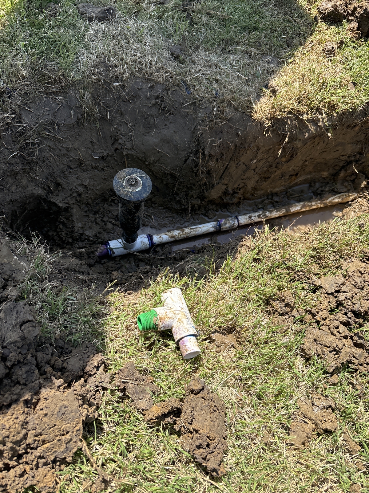 After Sprinkler Heads