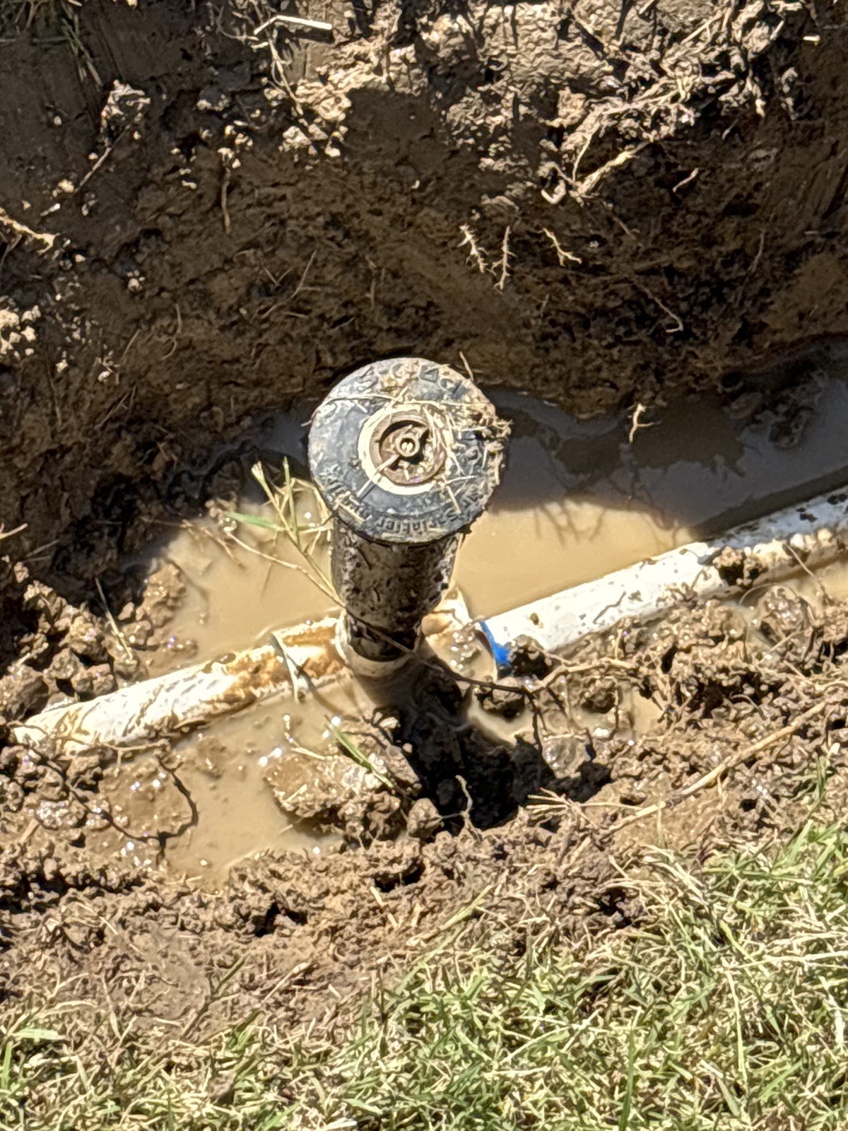 Before Sprinkler Heads