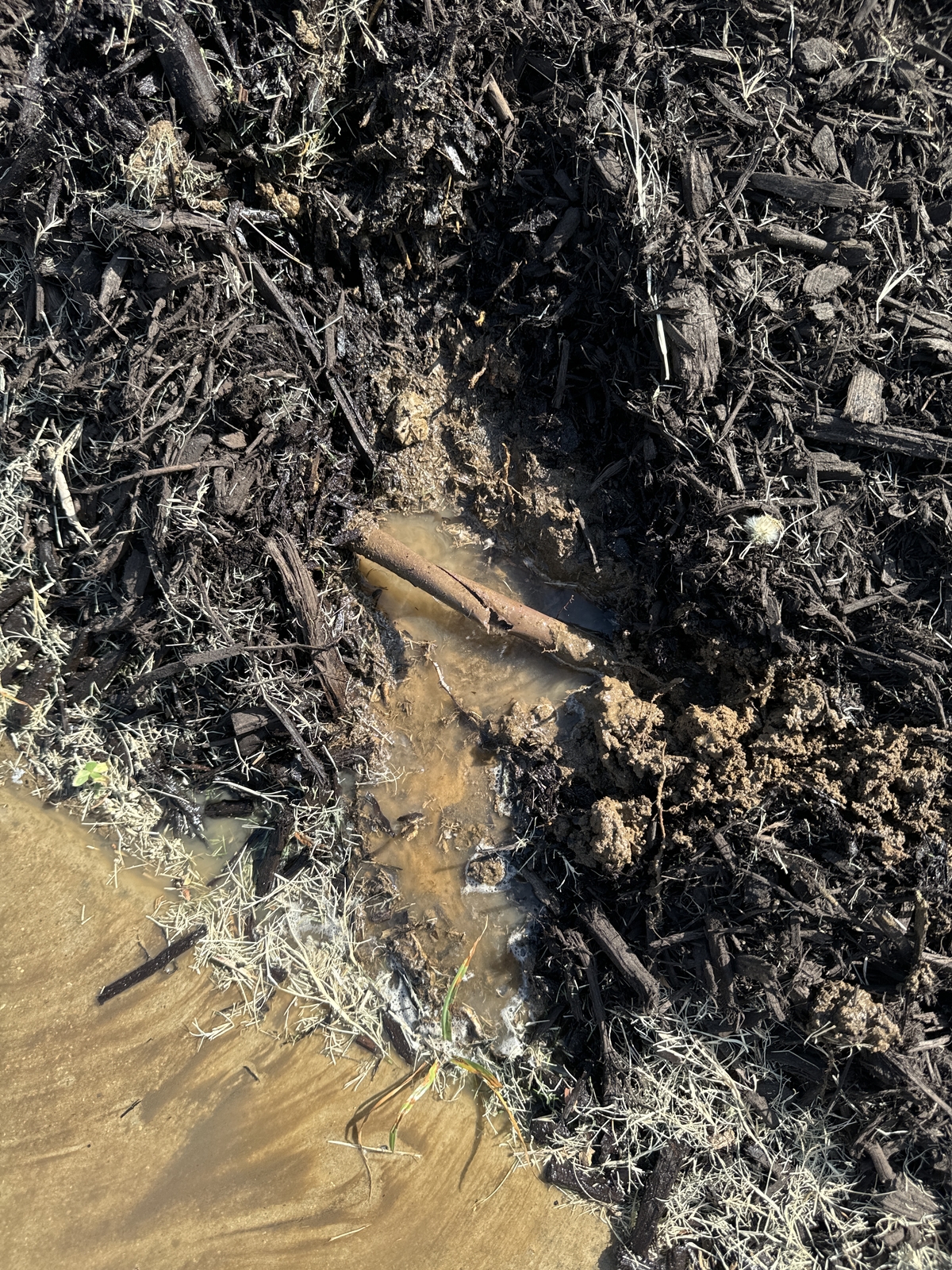 After Service - Diagnostic